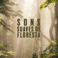 Hipnose Natureza Sons Coleção、Academia Sons da Natureza - Aves nas copas das árvores