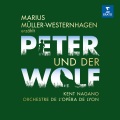 Marius Müller-Westernhagen - III. Er rennt und rennt und kommt nach einigen Tagen todmüde bei einer Stadt an
