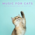 Music For Cats、Nature & Rainforest Sounds Collective、Loopable White Noise - Sleepy Kitty