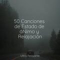 Musica Para Dormir Profundamente、Musica Para Dormir、Musica Relajante Specialistas - Jugar Con El Viento