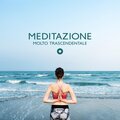 Meditazione Zen Musica - Melodia per il risveglio