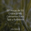 Ambiente、Meditación Maestro、Masajes Spas - Relajación Todo El Día