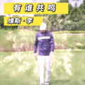 维斯李 - 有谁共鸣