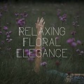 Sleep Sound Library、Nature Hiker、Best Relaxing Spa Music - Relaxing Thoughts