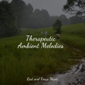 The Sleep Helpers、Binaural Beats Brain Waves Isochronic Tones Brain Wave Entrainment、Baby Sleep Music - Mystery Wanderings
