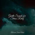 Massagem Coleção de Músicas、Asian Zen: Spa Music Meditation、Musica Relajante - Sonic Adventures