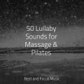 Meditation Awareness、Meditation Zen、Sounds of Nature White Noise Sound Effects - Equilibrium