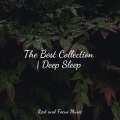 Deep Sleep Music Academy、Sleepy Night Music、Best Kids Songs - Air of Mystery