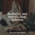 Classical Lullabies、Avslappning Sound、Relaxamento - Calm This Evening