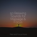 Sleepy Times、Calming Sounds、Entspannungsmusik Meer - Lucky Voyage