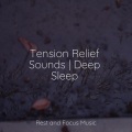 Meditative Music Guru、Sleep Songs 101、Native American Flute - Endless Tropics