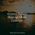 Namaste Healing Yoga、Academia de Música para Massagem Relaxamento、Study Concentration - Calming Ocean Medley