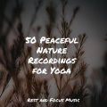 Natureza Musica Bem-Estar Academia、Nature Sounds Nature Music、Deep Relaxation Meditation Academy - Music Love