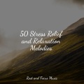 Relaxation Music Guru、Schlaflieder Für Kinder、Calming Sounds - Tranquil Sunset