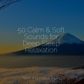 Musica Reiki、White Noise For Babies、Deep Sleep Meditation - Mindful Massage