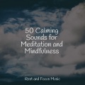 Serenity Spa Music Relaxation、Chakra Balancing Sound Therapy、Relajación - Quiet Melody