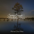 Relaxing Sleep Sound、Tranquil Music Sound of Nature、Música Zen Relaxante - Wonderland, Wonderment
