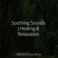 Alpha Waves、Massage Tribe、Study Power - Magic Touch