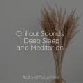 Guided Meditation、Massage Therapy Music、Mindfulness Mediation World - Sleep Sounds