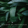 Música de Concentración、Colectivo de Música de Concentración、Tonos Binaurales Para Dormir - Tonos Ondas y Lluvia