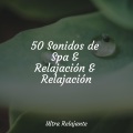 Canciones de Cuna 101、Dulces Sueños、Jazz Para Crianças - Melodía Relajante