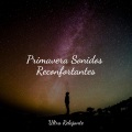 Saludo al Sol Sonido Relajante、Musica Relajante Para Estudiar、Canciones de Cuna Relax - Buceo Profundo