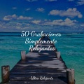 Master Meditação、Sonidos de la Naturaleza para Dormir、Zona Música Relaxante - Corrientes De Calma