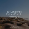 Musica Relajante Para Estudiar、Meditación Interna、Relajación - Al Otro Lado Del Cosmos