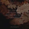 Ambiente、Mantra para Meditar、Relajante Musica - Misterio