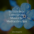 Massagem Guru、Jazz Para Crianças、Musicas Crianças - Maravillas De Media Noche