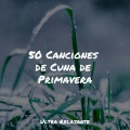 Relajarse、Musica Meditaction、Musica Relajante Specialistas - Reinando En Concentración