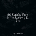 Sonidos De Truenos y Lluvia、Academia de Meditação Buddha、Lluvia PQ - Descanso Consciente