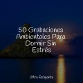 Canción de cuna、Meditação Maestro、Meditación Interna - Viaje Pacífico