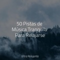 Musica Relajante New Age Culture、Musica para Massagem Especialistas、Musica Para Dormir Profundamente - Perdido en El Paraíso