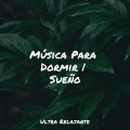 Música para Dormir Con Relajantes Sonidos de la Naturaleza、Musica Relajante New Age Culture、Musica para Dormir Dream House - Relajación Interior