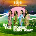 Terri Lyne Carrington、Daniel Rotem、Reid Anderson、säje - As This Moment Slips Away