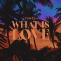 T3nzu - What Is Love