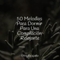 Musica Para Dormir、Música ambiental relajante、Canção de Ninar Bebê - Quedarse En Casa