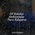 Canciones De Cuna Para Dormir Bebes、Academia de Relaxamento e Meditação、Sonido Del Bosque y Naturaleza - Una Tormenta Para Calmar