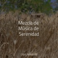 Yoga Para Niños、Academia de Música para Massagem Relaxamento、Meditação Zen - Mente Colectiva