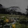 Escola de Meditação、Meditación Guiada、Musica Para Dormir Profundamente - Suave Brisa