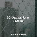 ambient arena、Water Soundscapes、Rainy Sounds - Small Waves Crashing