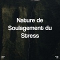 Sleep Sounds of Nature、Yoga - Rain On Window With Music