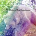 Deep Sleep Relaxation - Dream Lullaby