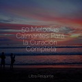 Musica Relajante Specialistas & Musica Relajante、Canciones de Cuna para Bebés Académico、Musica Para Meditar - Olas de Bienaventuranza Pura