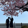 宋芷芸. - 嬛嬛朕要Diss你