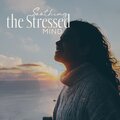 Relaxing Music Oasis - Soothing Silence