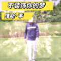 维斯李 - 不装饰你的梦 