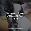 Calming Music for Dogs、Music For Dogs Peace、Official Pet Care Collection - Easy Going