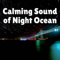 Calm Ocean Sounds、Alpha Waves、The Yoga Music Legends - Comfortable Coastline